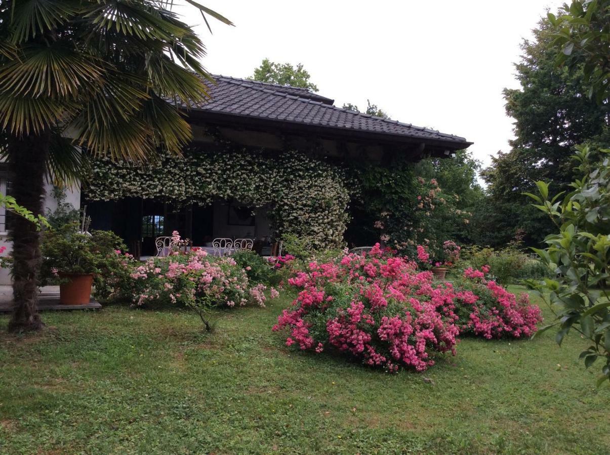 Le Querce Bed and Breakfast Tricesimo Εξωτερικό φωτογραφία